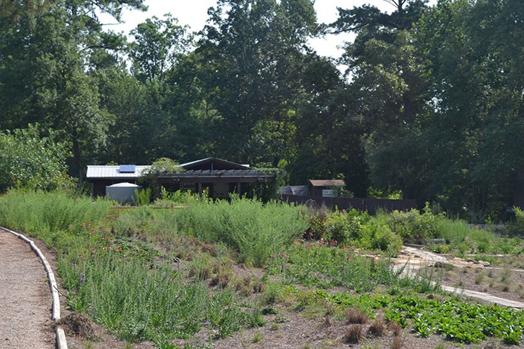 Davis Arboretum Pavilion